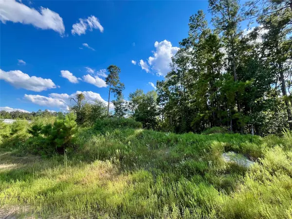 164 Road 5263b, Cleveland, TX 77327