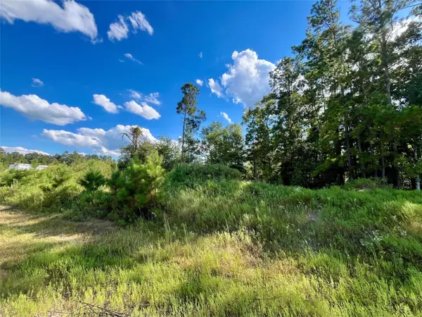 164 Road 5263b, Cleveland, TX 77327