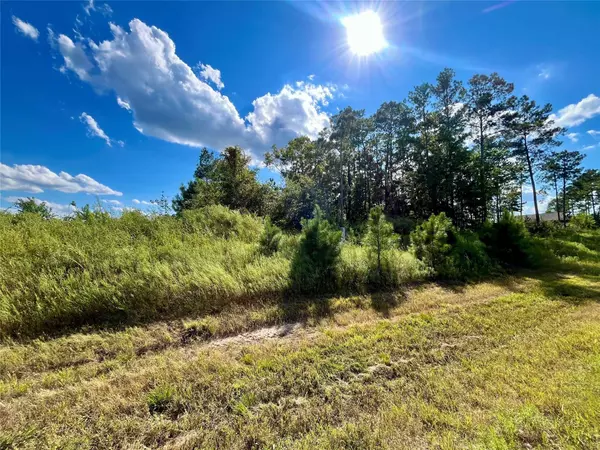 164 Road 5263b, Cleveland, TX 77327