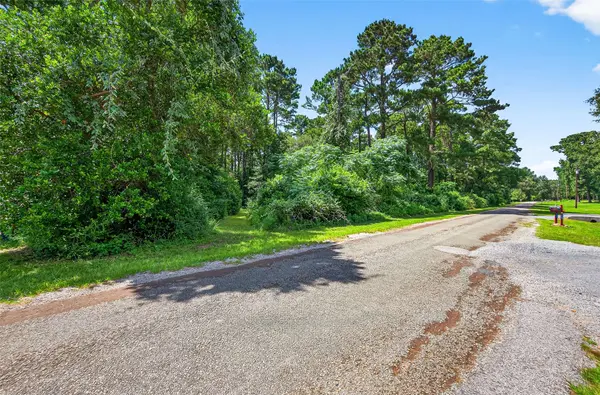 0 Colquitt RD, New Waverly, TX 77358