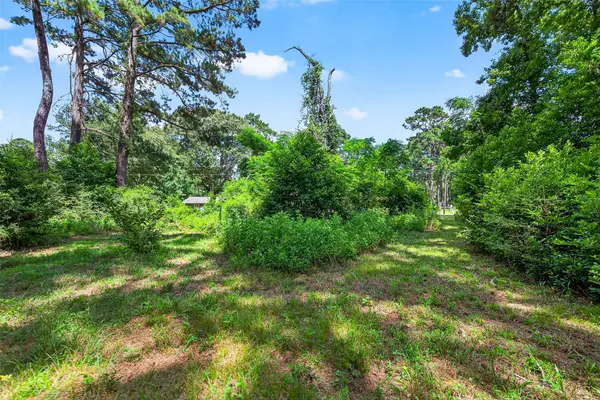 0 Colquitt RD, New Waverly, TX 77358