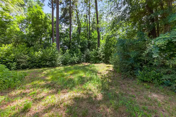 0 Colquitt RD, New Waverly, TX 77358