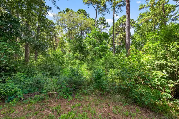 0 Colquitt RD, New Waverly, TX 77358