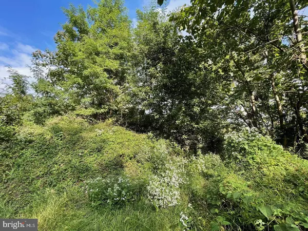 401 SYCAMORE AVE, Clifton Heights, PA 19018