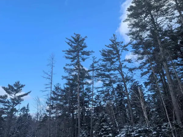 111 Swiftwater CIR, Haverhill, NH 03765-4413