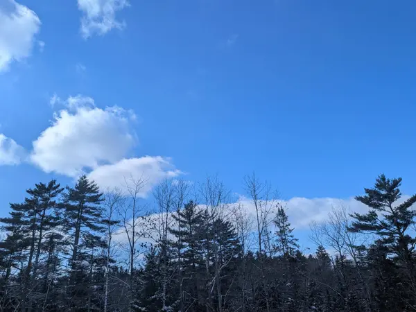 111 Swiftwater CIR, Haverhill, NH 03765-4413