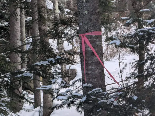 111 Swiftwater CIR, Haverhill, NH 03765-4413