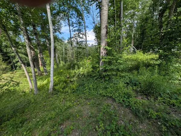 Autumn RD, Hillsborough, NH 03244