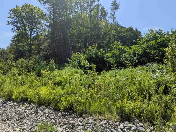 1 Boulder Point DR, Plymouth, NH 03264-3174