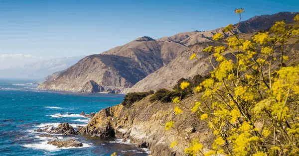 Central Coast Real Estate Market Update: Summer 2026