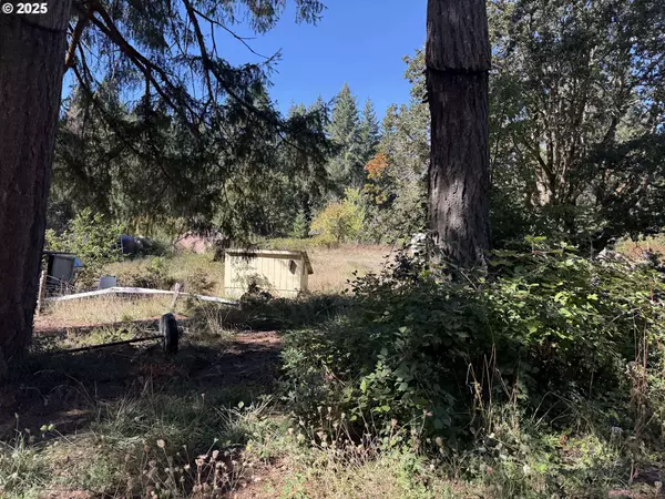 1458 KIRKENDAHL RD, Camas Valley, OR 97416