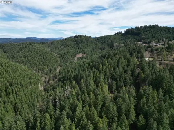 LAUREL HILL DR, Drain, OR 97435