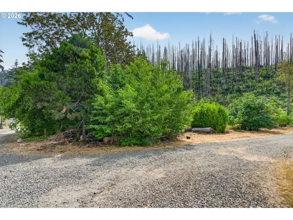 51790 Echo ST, Blue River, OR 97413