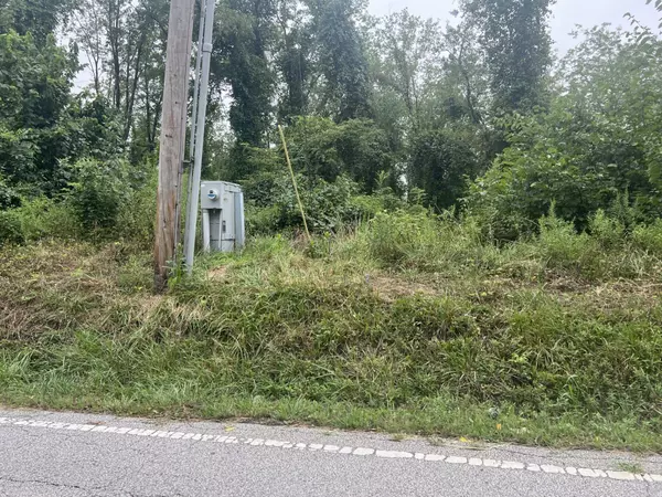 0 Blaine Chermont Road, Bridgeport, OH 43912