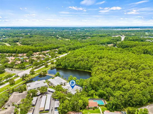 3382 MERMOOR DR #3102, Palm Harbor, FL 34685