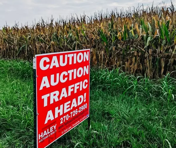 auction traffic ahead