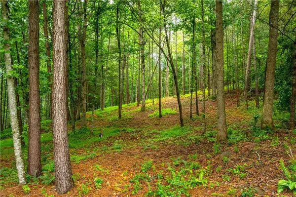 00 Roaring Forks LN, East Ellijay, GA 30540