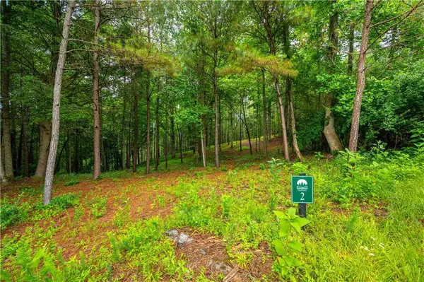 00 Roaring Forks LN, East Ellijay, GA 30540