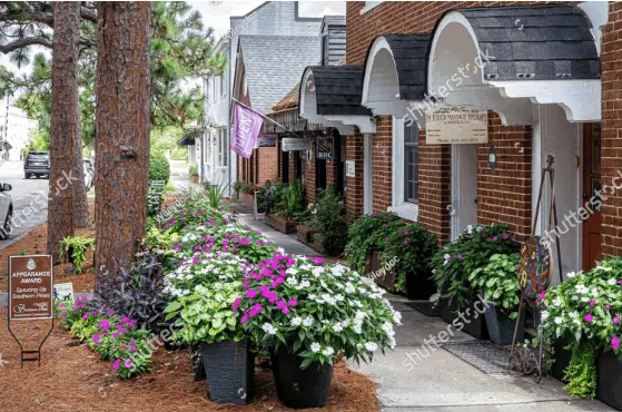 feature image of The Heartbeat of the Sandhills: Exploring Culture in Pinehurst and Southern Pines