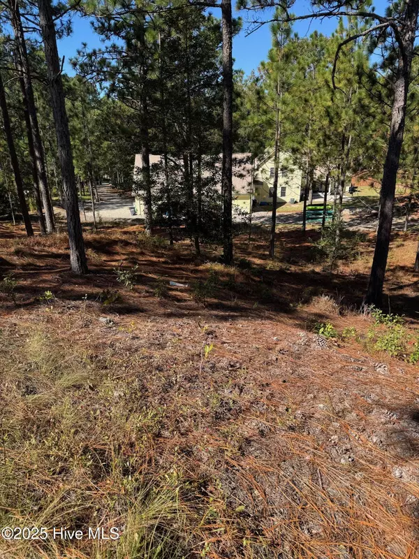 106 Parker CT, West End, NC 27376