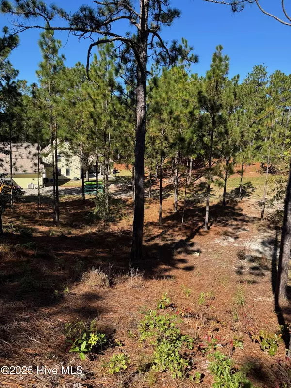 106 Parker CT, West End, NC 27376