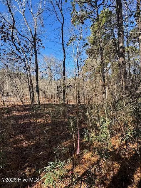 123 James DR, West End, NC 27376