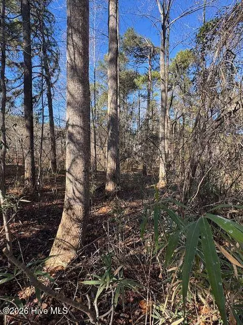 123 James DR, West End, NC 27376