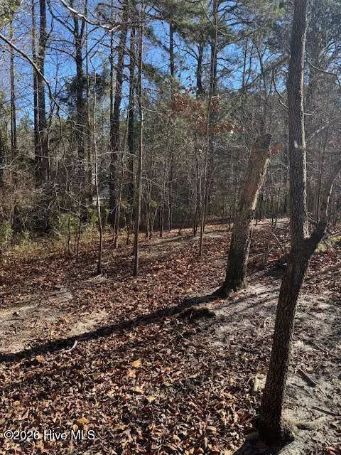 123 James DR, West End, NC 27376