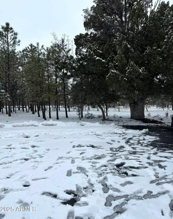 4382 Jack Pine Place #-, Happy Jack, AZ 86024