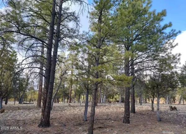 4382 Jack Pine Place #-, Happy Jack, AZ 86024