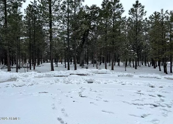 4382 Jack Pine Place #-, Happy Jack, AZ 86024