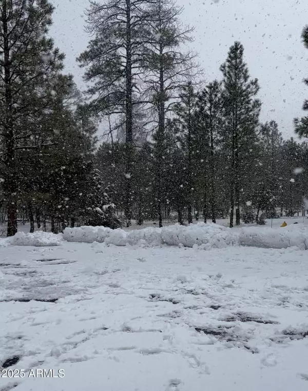 4382 Jack Pine Place #-, Happy Jack, AZ 86024