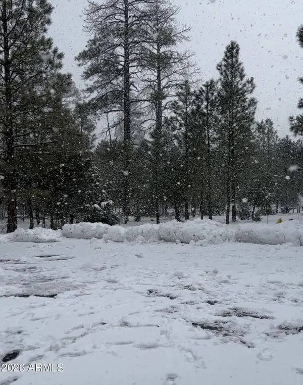 4382 JACK PINE Place #144, Happy Jack, AZ 86024