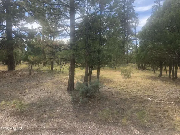 4382 JACK PINE Place #144, Happy Jack, AZ 86024