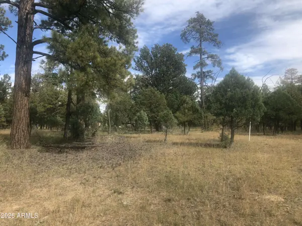 4382 JACK PINE Place #144, Happy Jack, AZ 86024