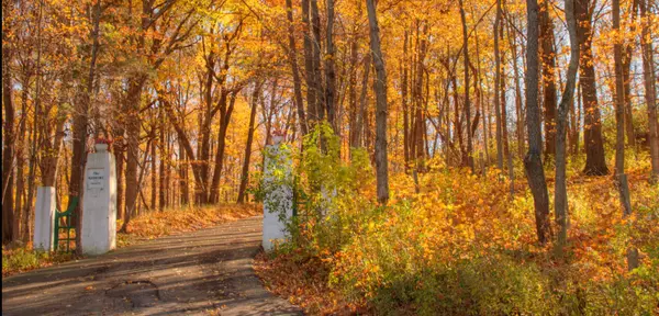 What’s Happening at the Lake | Late October in Lake Geneva & Walworth County