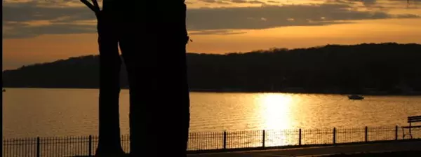 November 2025 Forward Forecast & Strategy