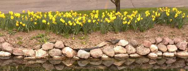feature image of What’s Happening in Lake Geneva this April | Lake Geneva Events + Local Real Estate