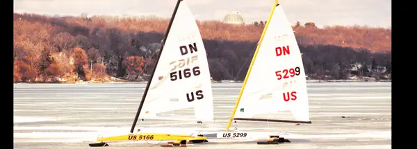 feature image of Whats Happening at the Lake February 2026