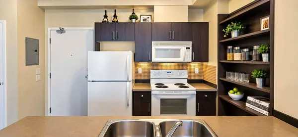 73 Erin Woods CT SE #3309, Calgary, AB T2B 3V6