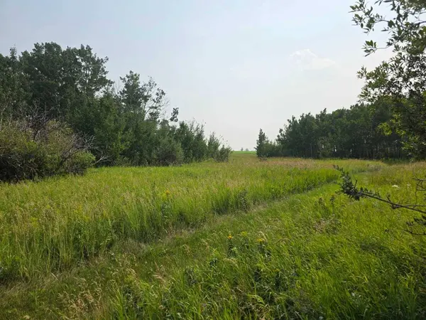 Hwy 783 Rural Foothills County, Rural Foothills County, AB T1S 1A1