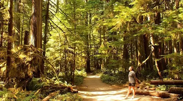 Why Rose Hill in Kirkland, WA is the Seattle areas Most Central, Best-Kept Secret