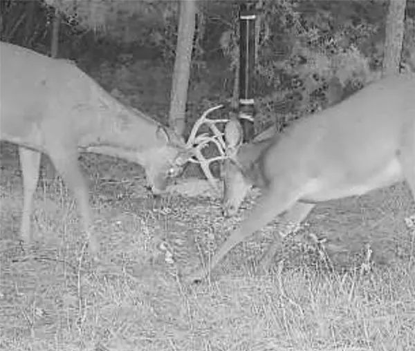 00000 W 239th ST, Edgerton, KS 66021