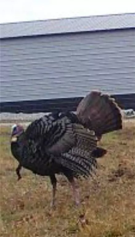 00000 W 239th ST, Edgerton, KS 66021