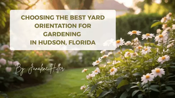 feature image of Choosing the Best Yard Orientation for Gardening in Hudson, Florida