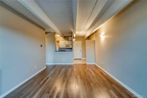 1441 N Humboldt ST #507, Denver, CO 80218