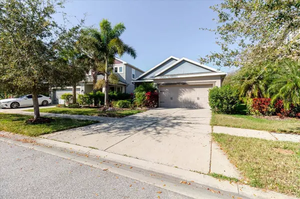 6516 SALT CREEK AVE, Apollo Beach, FL 33572