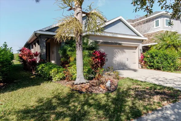 6516 SALT CREEK AVE, Apollo Beach, FL 33572