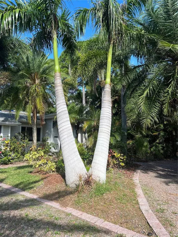 715 RIVERSIDE DR, Tarpon Springs, FL 34689