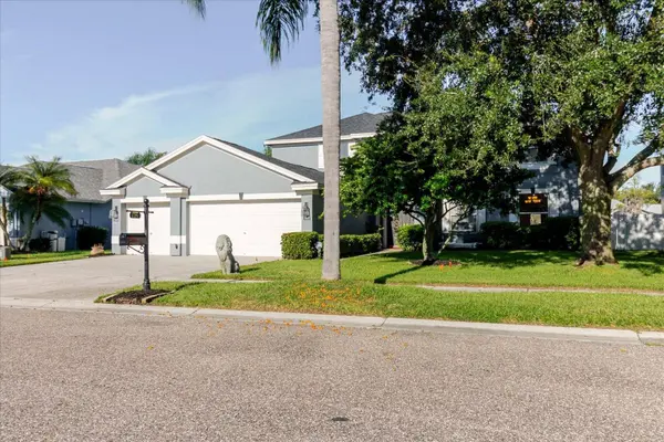1725 PINK GUARA CT, Trinity, FL 34655